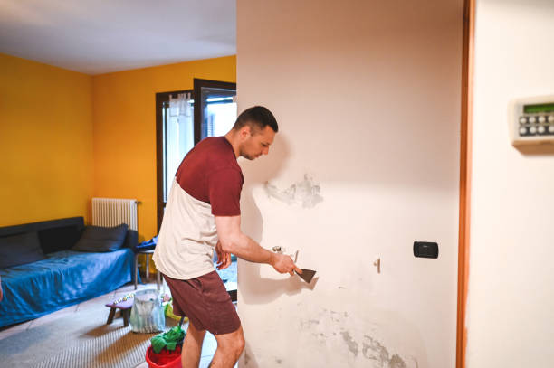 Trusted Biddeford, ME Mold Remediation Experts